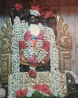 श्री अंजनेय, सन्तान रामर मंदिर, नीडामंगलम,तमिलनाडु