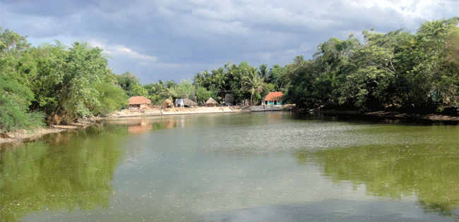 Senkulam of Poovanur,Needamangalam Taluk,Tiruvarur dist., Tamil Nadu
