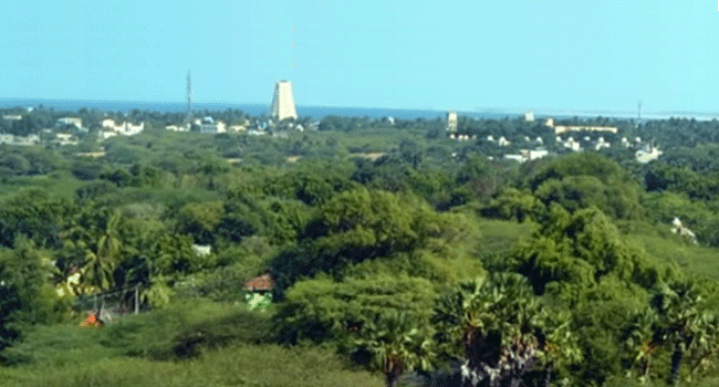 view from Gandhamadana Parvat - Ramar Padam, Rameswaram 