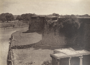 बैंगलोर के खंडहर किले का यह दृश्य निकोलस ब्रोस ने लिया था