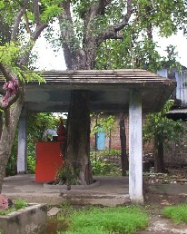 'श्री कमली हनुमान मंदिर, भोपाल