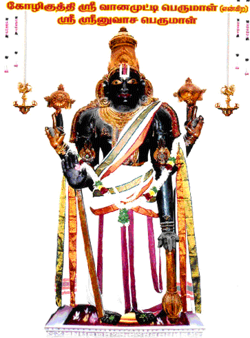 Sri Srinivasa perumal [Vanamutti perumal] Kozhikuthi, TN